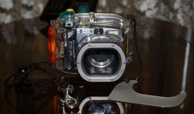 IMG_3347.JPG