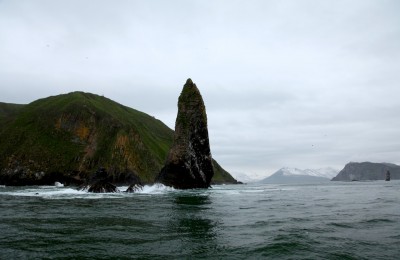 IMG_8641.jpg
