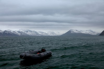 IMG_8710.jpg