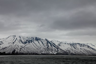 IMG_8726.jpg
