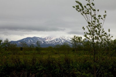 IMG_8793.jpg