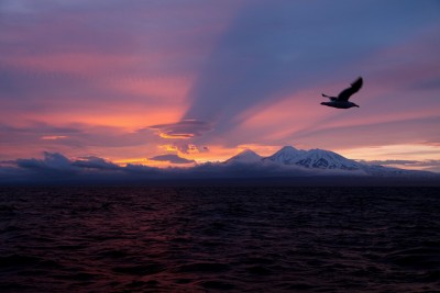 IMG_8898.jpg