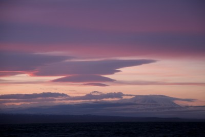 IMG_8922.jpg