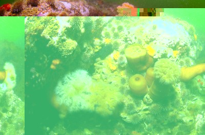 IMG_9192.jpg