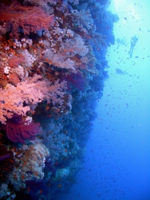 IMAG0012_4.jpg